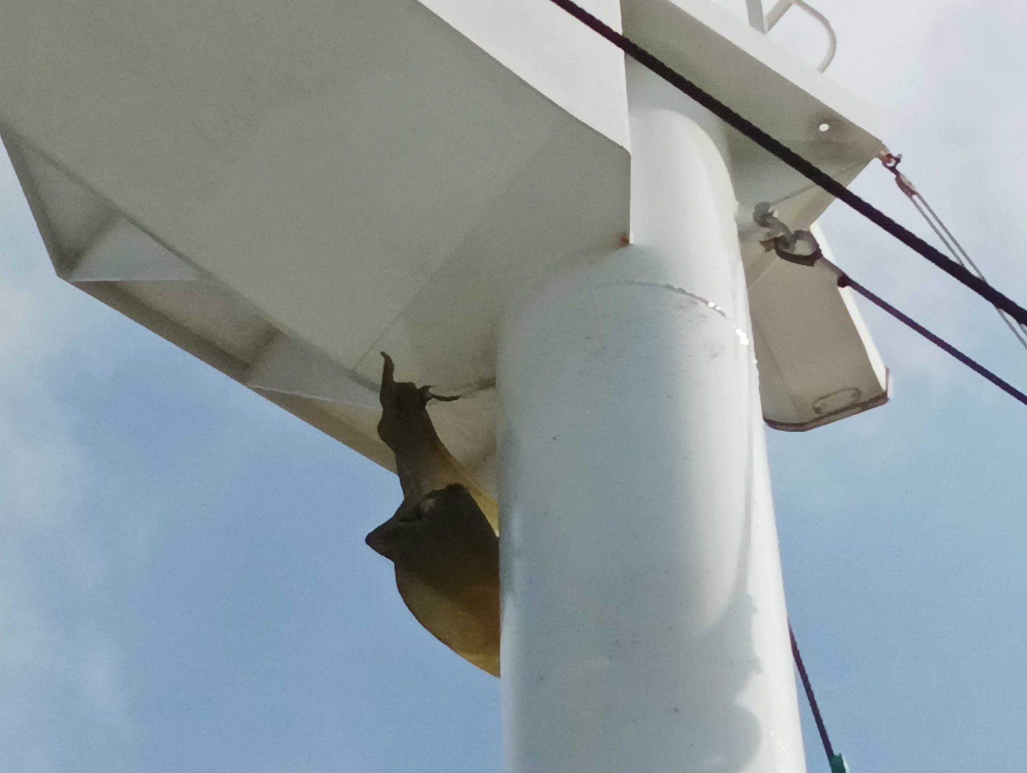 radar mast repair services in Vietnam